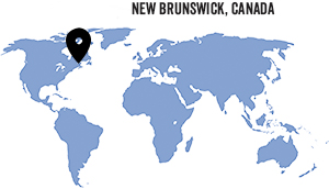 map with pin point on New Brunswick