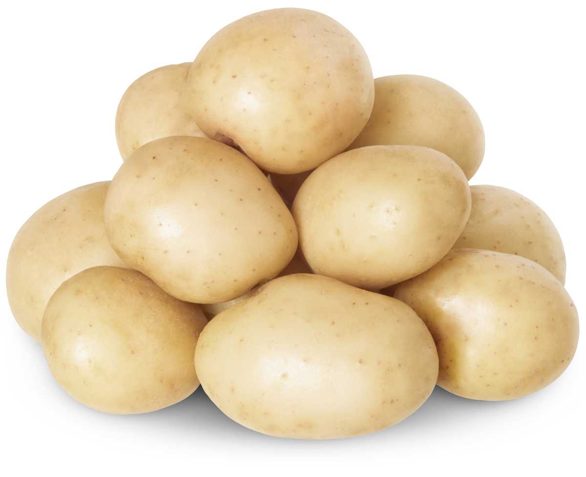 Pile of Polar White potatoes