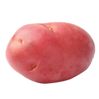 Red Potato