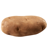 Russet Potato