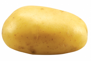 Yellow Potato