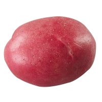 Mini Red Potato