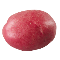 Mini Red Potato