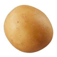 Mini Yellow Potato