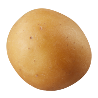 BabyYellow Mini Yellow Potato