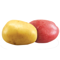 Yellow and Red Potatoes