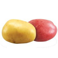 Yellow and Red Potatoes