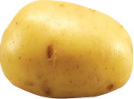 Baby yellow potato