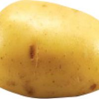 Baby yellow potato