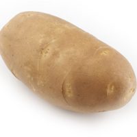 Pure Gold potato