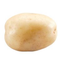 white baby potato