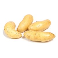 alevins jaunes yellow fingerlings